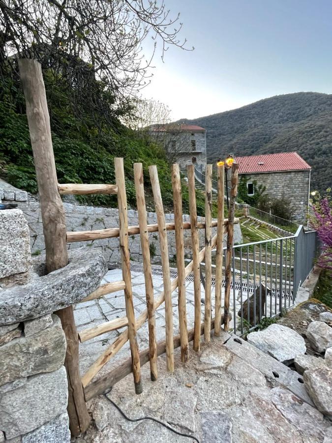 Casa Arena Authentique Maison De Village Avec Piscine Au Coeur De L'Alta Rocca - Zoza 외부 사진